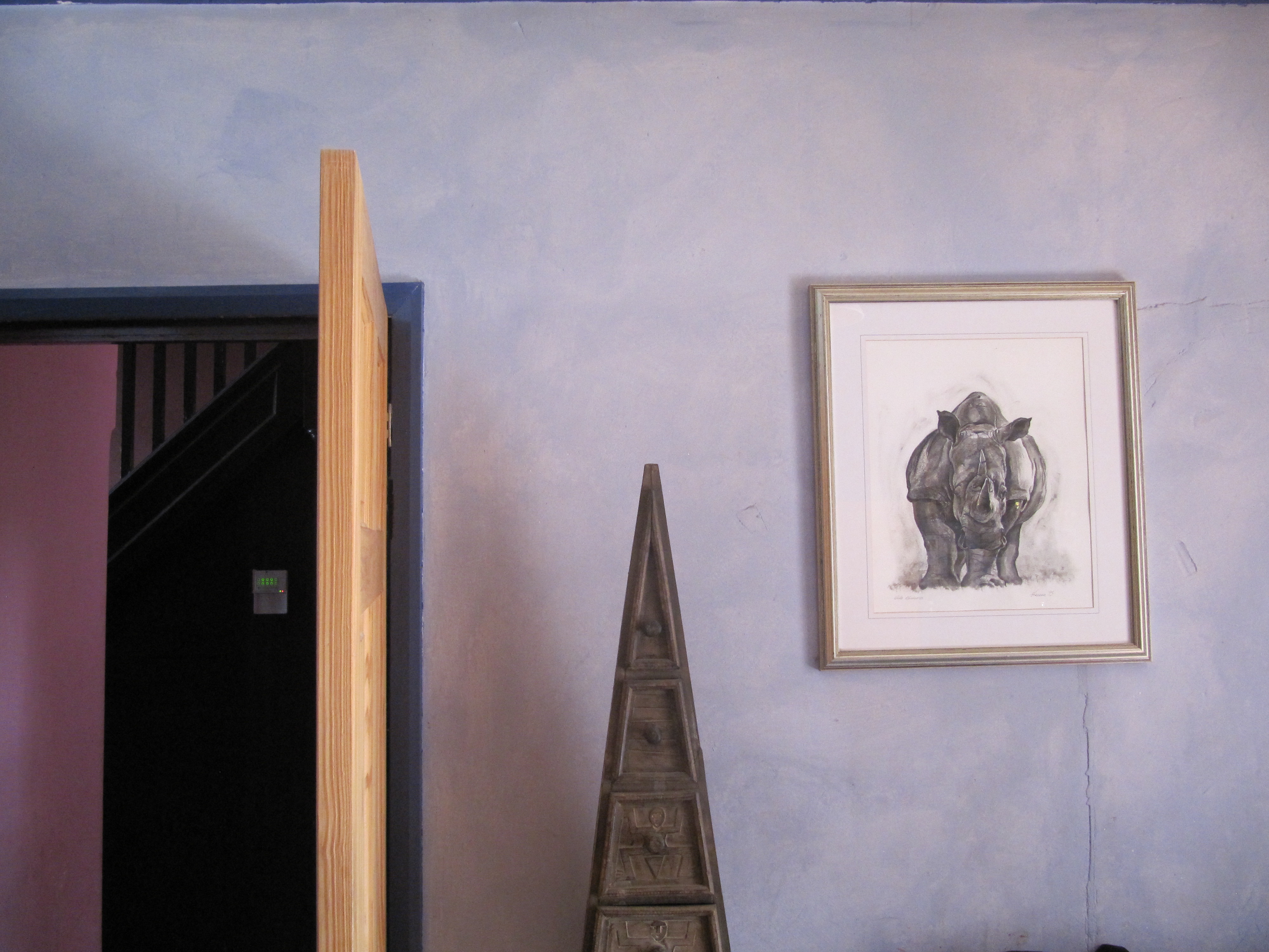 Rhino in the Library