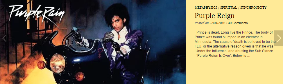 Merovee Purple Reign