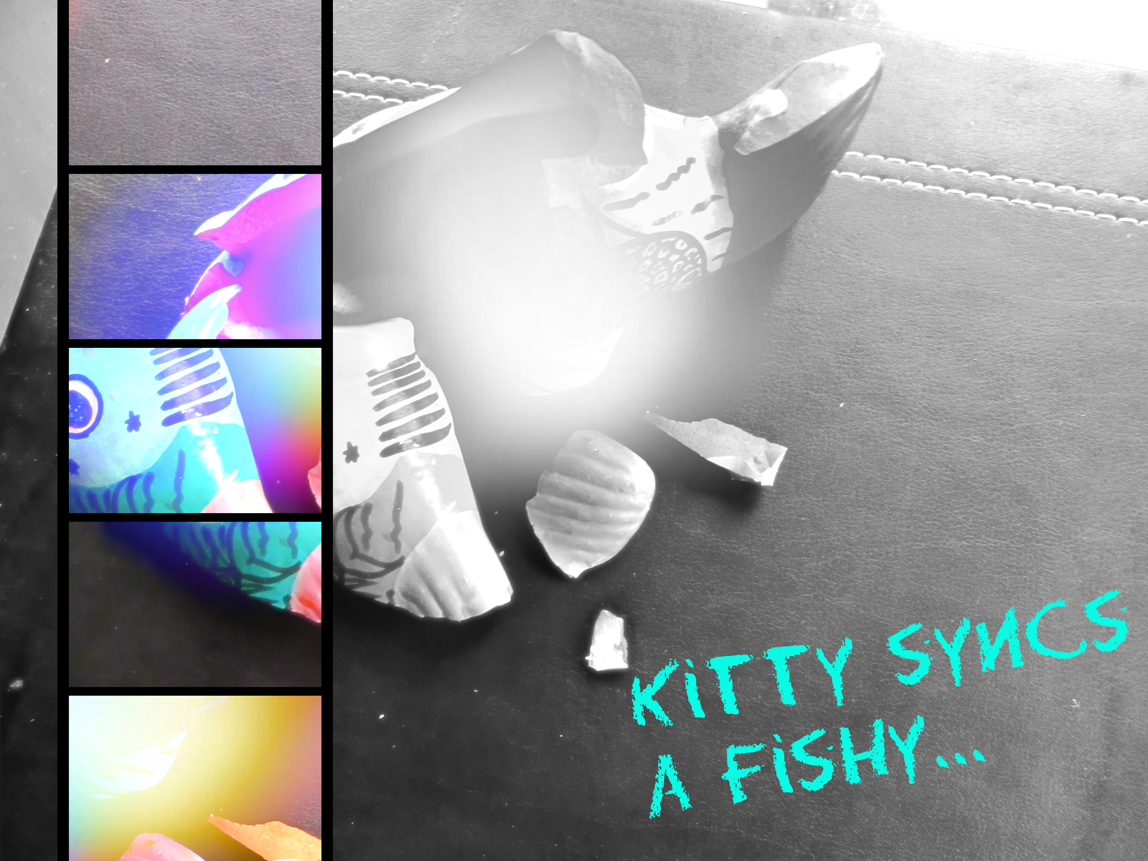kitty-syncs-a-fishy