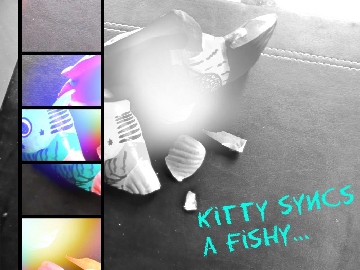 kitty-syncs-a-fishy