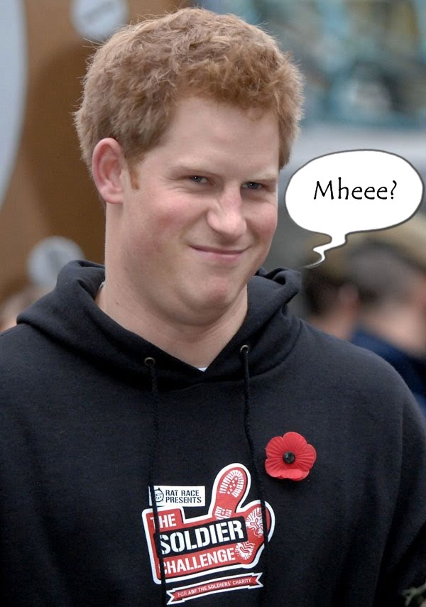 prince-harry-cleverness