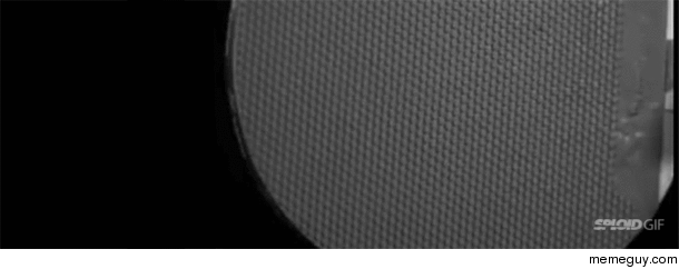 ping-pong-paddle-puddle