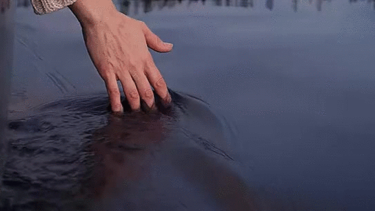 tumblr_static_tumblr_static_ckrmgxq9m60wkgg8ww4sskwws_640