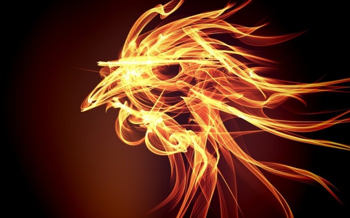 chinese-year-of-fire-rooster-2017