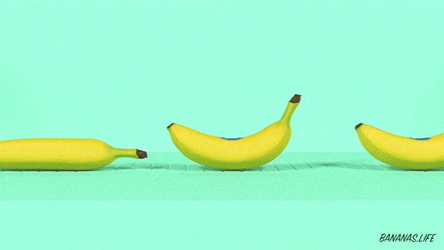 video-elias-freiberger-03