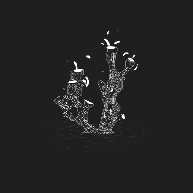 tumblr_osby3u63bj1rlaql2o7_1280