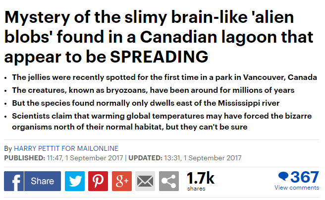 Stanley Park Brains