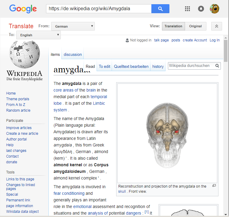 Mandel Amygdala