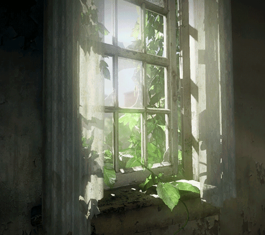 tumblr_nzqclolqvw1t63sglo1_540