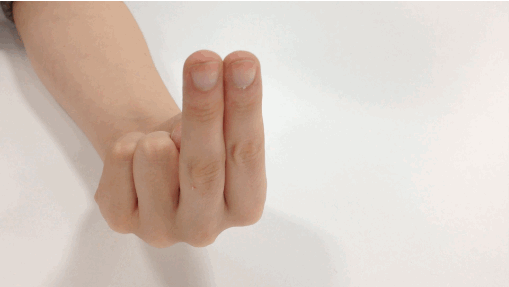 Two Finger Salute