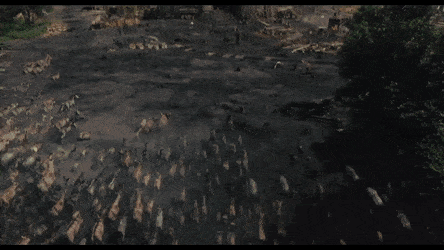 Antediluvian Animals Ark.gif