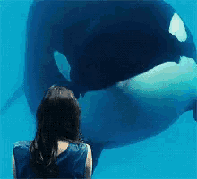 0911bc3403648f07-free-willy-gifs-tenor