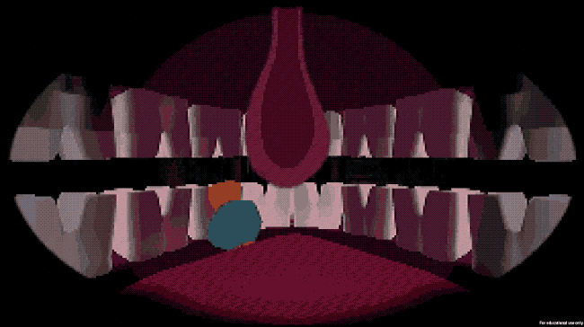 tonsil terror.gif