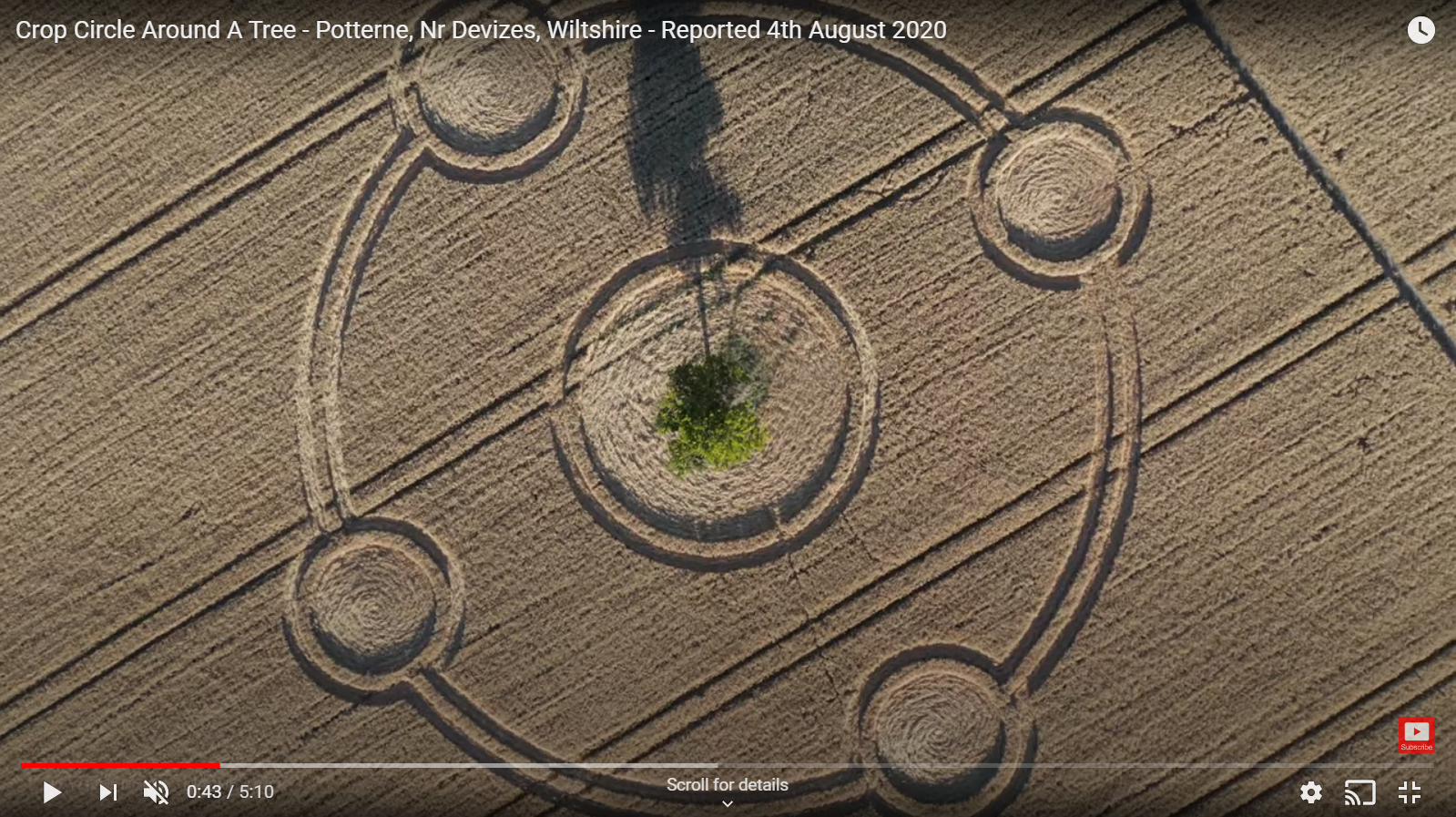 Potterne crop circle around tree 2