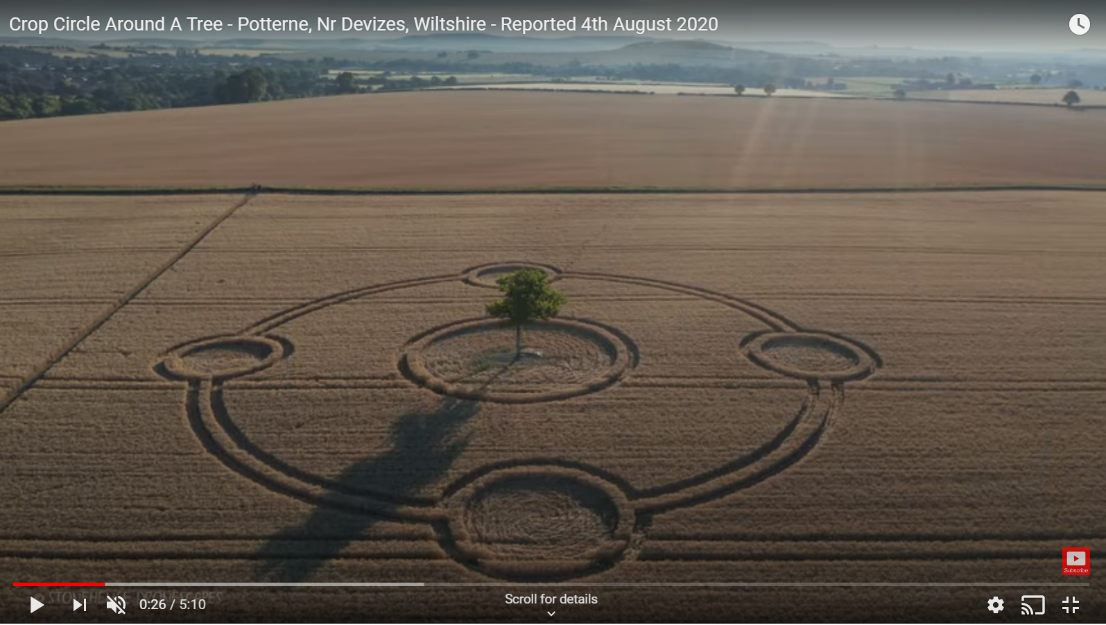 Potterne crop circle around tree
